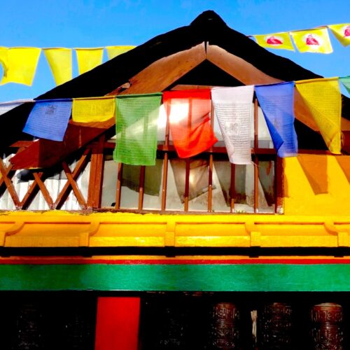Karen Safer -  Darjeeling Flags