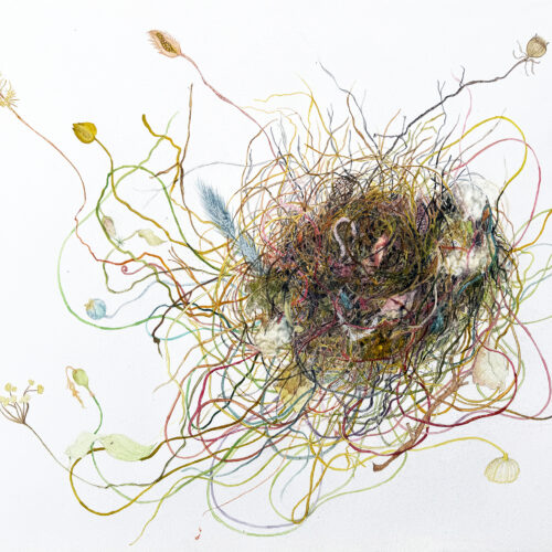 a chaotic, colorful nest of tangled threads and plant stems sits on a white background, with feathers and delicate leaves interwoven, giving the piece a lively, organic feel.
