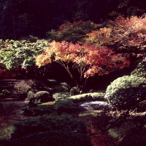 Jack Straton - The Dark + the Light