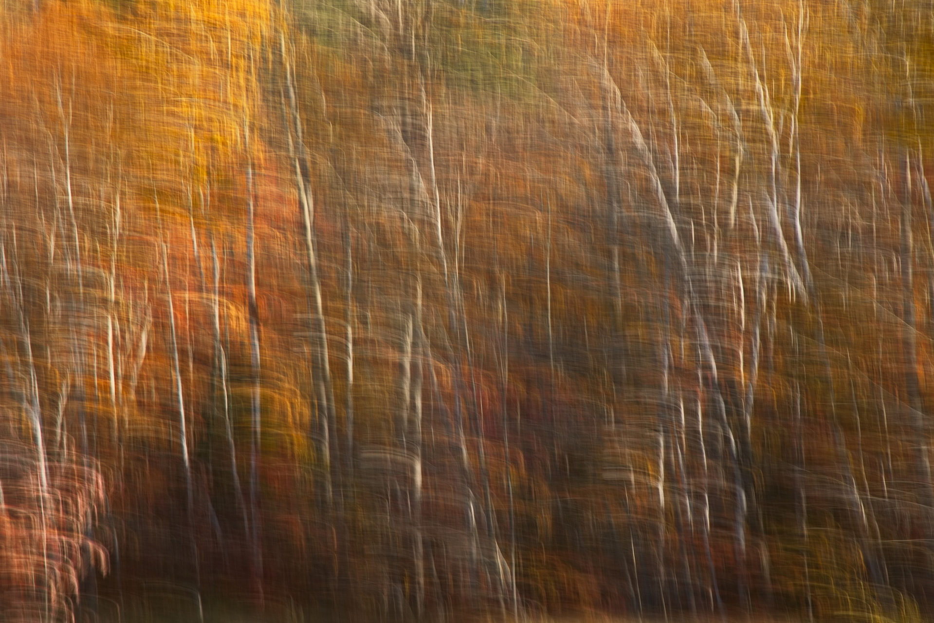 Ingrid Hann – Autumn in Motion